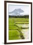 Paddy Fields with Mountain in the Background, Sri Lanka, Asia-Charlie-Framed Photographic Print