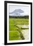 Paddy Fields with Mountain in the Background, Sri Lanka, Asia-Charlie-Framed Photographic Print