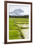 Paddy Fields with Mountain in the Background, Sri Lanka, Asia-Charlie-Framed Photographic Print
