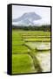 Paddy Fields with Mountain in the Background, Sri Lanka, Asia-Charlie-Framed Stretched Canvas