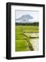 Paddy Fields with Mountain in the Background, Sri Lanka, Asia-Charlie-Framed Photographic Print