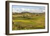 Paddy Rice Field Landscape in the Madagascar Central Highlands Near Ambohimahasoa-Matthew Williams-Ellis-Framed Photographic Print