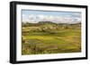 Paddy Rice Field Landscape in the Madagascar Central Highlands Near Ambohimahasoa-Matthew Williams-Ellis-Framed Photographic Print