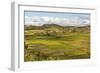 Paddy Rice Field Landscape in the Madagascar Central Highlands Near Ambohimahasoa-Matthew Williams-Ellis-Framed Photographic Print