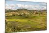 Paddy Rice Field Landscape in the Madagascar Central Highlands Near Ambohimahasoa-Matthew Williams-Ellis-Mounted Photographic Print