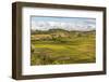 Paddy Rice Field Landscape in the Madagascar Central Highlands Near Ambohimahasoa-Matthew Williams-Ellis-Framed Photographic Print