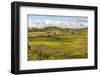 Paddy Rice Field Landscape in the Madagascar Central Highlands Near Ambohimahasoa-Matthew Williams-Ellis-Framed Photographic Print