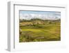 Paddy Rice Field Landscape in the Madagascar Central Highlands Near Ambohimahasoa-Matthew Williams-Ellis-Framed Photographic Print