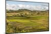 Paddy Rice Field Landscape in the Madagascar Central Highlands Near Ambohimahasoa-Matthew Williams-Ellis-Mounted Photographic Print