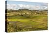 Paddy Rice Field Landscape in the Madagascar Central Highlands Near Ambohimahasoa-Matthew Williams-Ellis-Stretched Canvas