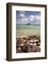 Paddy's Island from Devil's Beach, Turtle Island, Fiji-Roddy Scheer-Framed Photographic Print