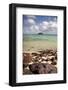 Paddy's Island from Devil's Beach, Turtle Island, Fiji-Roddy Scheer-Framed Photographic Print