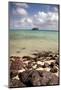 Paddy's Island from Devil's Beach, Turtle Island, Fiji-Roddy Scheer-Mounted Photographic Print