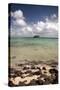 Paddy's Island from Devil's Beach, Turtle Island, Yasawa Islands, Fiji-Roddy Scheer-Stretched Canvas