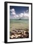 Paddy's Island from Devil's Beach, Turtle Island, Yasawa Islands, Fiji-Roddy Scheer-Framed Photographic Print