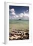 Paddy's Island from Devil's Beach, Turtle Island, Yasawa Islands, Fiji-Roddy Scheer-Framed Photographic Print