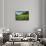 Padi Field in Lake Toba, Sumatra, Indonesia, Southeast Asia-John Alexander-Framed Stretched Canvas displayed on a wall