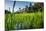 Padi Field in Lake Toba, Sumatra, Indonesia, Southeast Asia-John Alexander-Mounted Premium Photographic Print