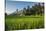 Padi Field in Lake Toba, Sumatra, Indonesia, Southeast Asia-John Alexander-Stretched Canvas