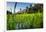 Padi Field in Lake Toba, Sumatra, Indonesia, Southeast Asia-John Alexander-Framed Photographic Print