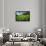 Padi Field in Lake Toba, Sumatra, Indonesia, Southeast Asia-John Alexander-Framed Photographic Print displayed on a wall