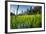 Padi Field in Lake Toba, Sumatra, Indonesia, Southeast Asia-John Alexander-Framed Photographic Print