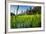 Padi Field in Lake Toba, Sumatra, Indonesia, Southeast Asia-John Alexander-Framed Photographic Print