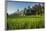 Padi Field in Lake Toba, Sumatra, Indonesia, Southeast Asia-John Alexander-Framed Photographic Print