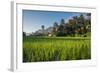 Padi Field in Lake Toba, Sumatra, Indonesia, Southeast Asia-John Alexander-Framed Photographic Print