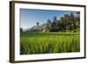 Padi Field in Lake Toba, Sumatra, Indonesia, Southeast Asia-John Alexander-Framed Photographic Print