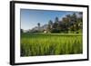 Padi Field in Lake Toba, Sumatra, Indonesia, Southeast Asia-John Alexander-Framed Photographic Print