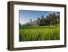 Padi Field in Lake Toba, Sumatra, Indonesia, Southeast Asia-John Alexander-Framed Photographic Print