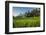 Padi Field in Lake Toba, Sumatra, Indonesia, Southeast Asia-John Alexander-Framed Photographic Print