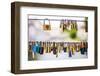 Padlocks, Ljubljana, Slovenia, Europe-Matthew Williams-Ellis-Framed Photographic Print