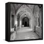 Padova #1-Alan Blaustein-Framed Stretched Canvas
