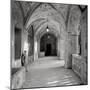 Padova I-Alan Blaustein-Mounted Photographic Print