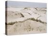 Padre Island Dunes Crested with Grass, White Capped Waves from the Gulf of Mexico Lapping at Shore-Eliot Elisofon-Stretched Canvas