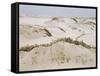 Padre Island Dunes Crested with Grass, White Capped Waves from the Gulf of Mexico Lapping at Shore-Eliot Elisofon-Framed Stretched Canvas