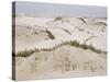 Padre Island Dunes Crested with Grass, White Capped Waves from the Gulf of Mexico Lapping at Shore-Eliot Elisofon-Stretched Canvas