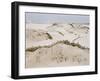 Padre Island Dunes Crested with Grass, White Capped Waves from the Gulf of Mexico Lapping at Shore-Eliot Elisofon-Framed Photographic Print