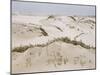 Padre Island Dunes Crested with Grass, White Capped Waves from the Gulf of Mexico Lapping at Shore-Eliot Elisofon-Mounted Photographic Print