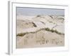 Padre Island Dunes Crested with Grass, White Capped Waves from the Gulf of Mexico Lapping at Shore-Eliot Elisofon-Framed Photographic Print