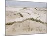 Padre Island Dunes Crested with Grass, White Capped Waves from the Gulf of Mexico Lapping at Shore-Eliot Elisofon-Mounted Photographic Print
