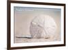 Padre Island National Seashore - Sand Dollar-Lantern Press-Framed Art Print