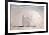 Padre Island National Seashore - Sand Dollar-Lantern Press-Framed Art Print