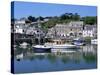 Padstow Harbour, Cornwall, England, United Kingdom-Lee Frost-Stretched Canvas