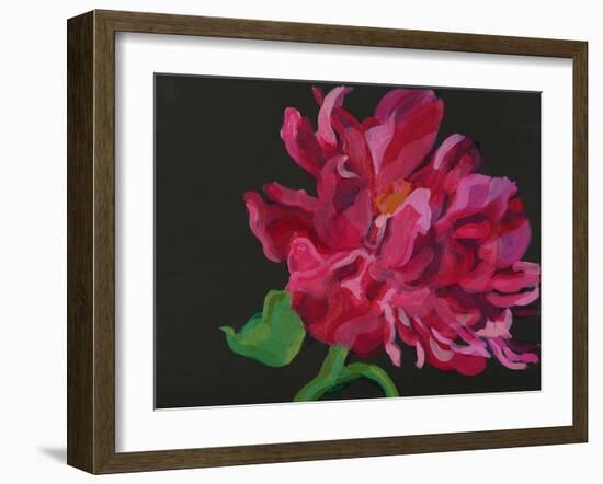 Paeonia 1-Deborah Barton-Framed Giclee Print