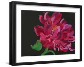 Paeonia 1-Deborah Barton-Framed Giclee Print