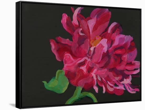 Paeonia 1-Deborah Barton-Framed Stretched Canvas