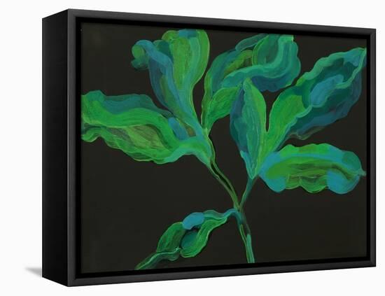 Paeonia 3-Deborah Barton-Framed Stretched Canvas